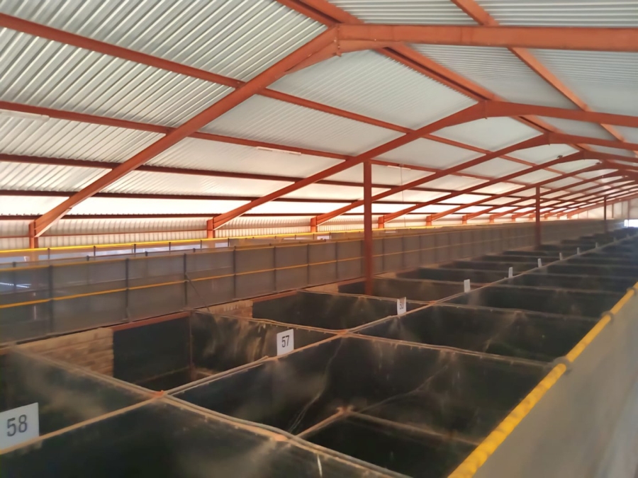 4 Bedroom Property for Sale in Kimberley Rural Northern Cape